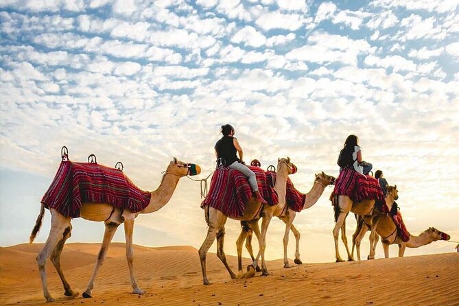 Private Desert Excursion with camel ride Sandboard & BBQ Dinner - Camel riding and sunset photographs