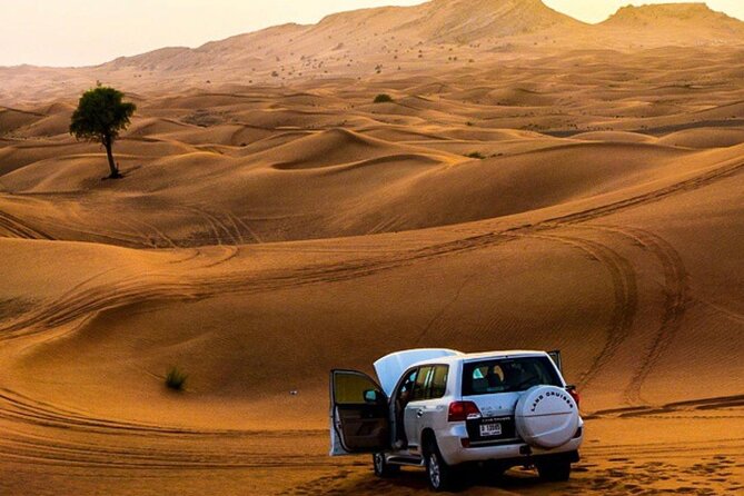 Private Desert Excursion with camel ride Sandboard & BBQ Dinner - What the $299.76 group price really buys