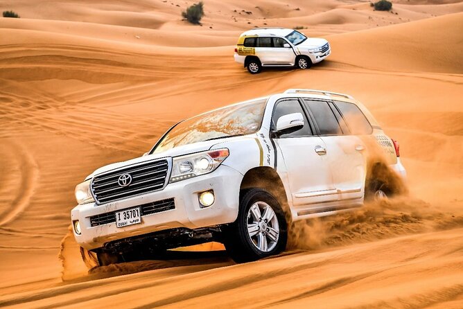 Private Desert Safari Dubai Tour With Dune Bashing and BBQ Dinner - What the private format is worth