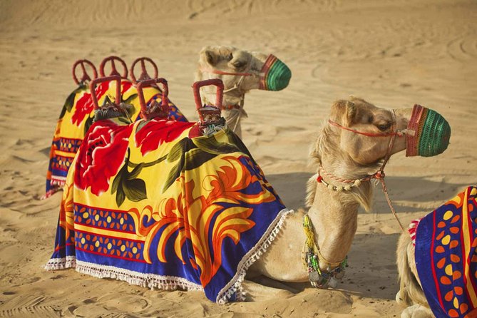Private Desert Safari Dubai with BBQ Dinner - Red Dunes, Photo Stops, and Dune Bashing