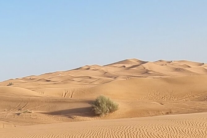 Private Desert Safari in Dubai with Pickup - What the $199.56 Price Really Buys