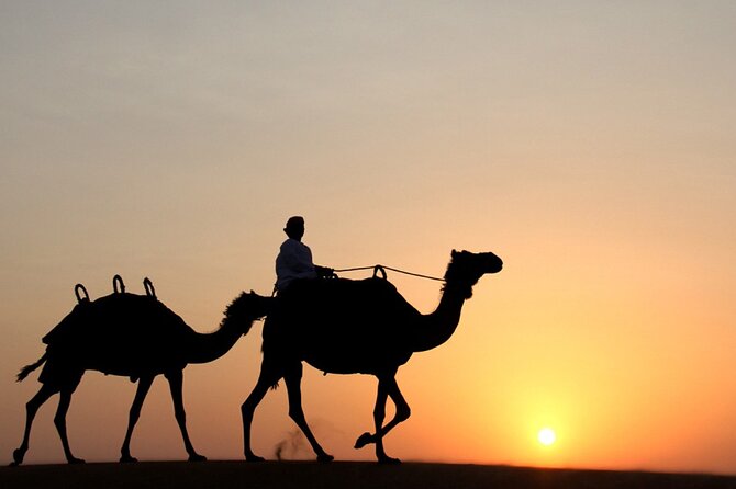Private Desert Safari Tour in Dubai - Key points at a glance