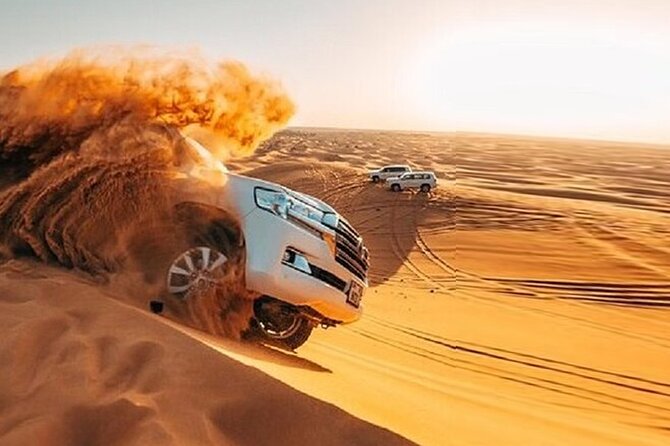 Private Desert Safari Tour in Dubai - The falcon encounter and its value