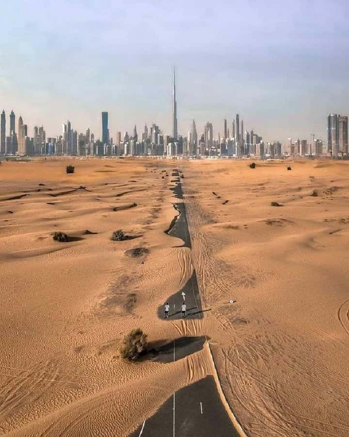 Private Dubai city tour fullday Guided Tour - Madinat Jumeirah, Burj Al Arab, and the Palm