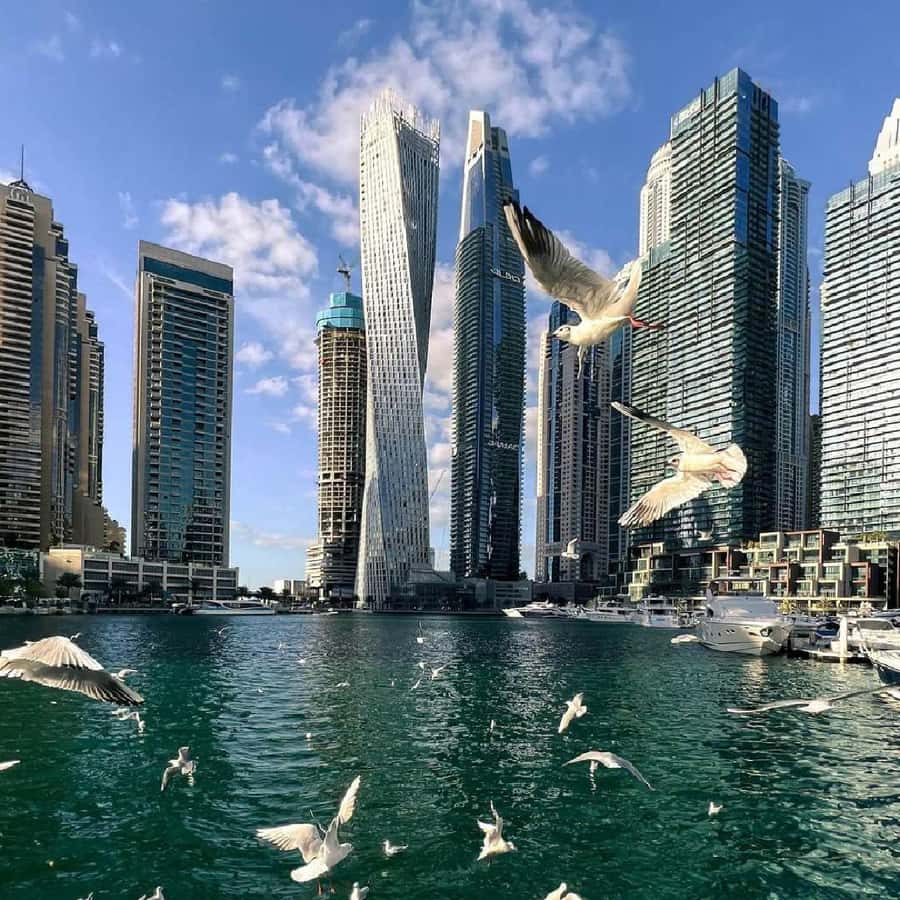 Private Dubai CityTour with Miracle Garden or Global Village - Palm Jumeirah, The Pointe, and Atlantis