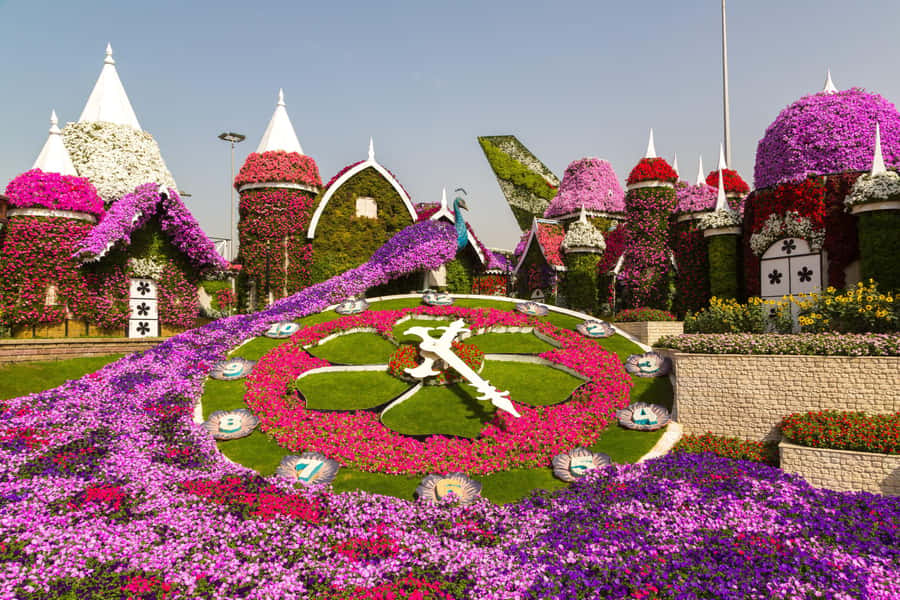 Private Dubai Frame & Miracle Garden Trip with Transfer - Hotel pickup makes a Dubai sightseeing day easier