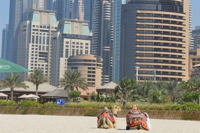 Private : Dubai Full Day City Sightseeing Tour - The Museum of the Future: drive-by or priority visit?