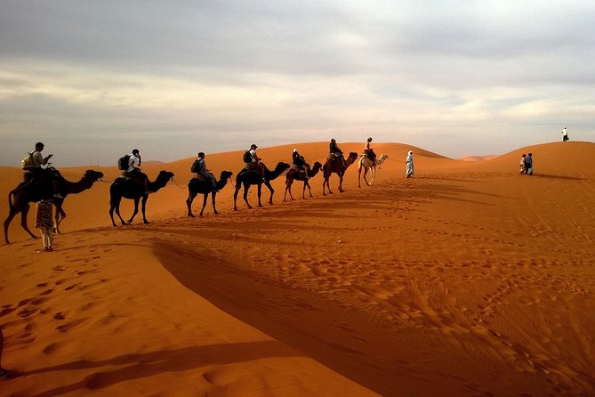 Private Evening Desert Safari with BBQ dinner - Key points at a glance