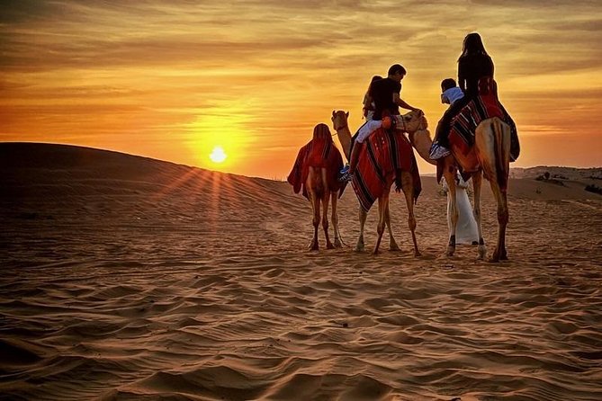 Private Evening Desert Safari with BBQ Dinner, Camel Ride And Sand Boarding - How the private format changes the evening