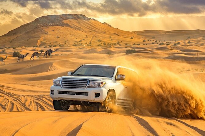 Private Evening Desert Safari with BBQ Dinner Dubai - A short camel ride and Bedouin-style camp