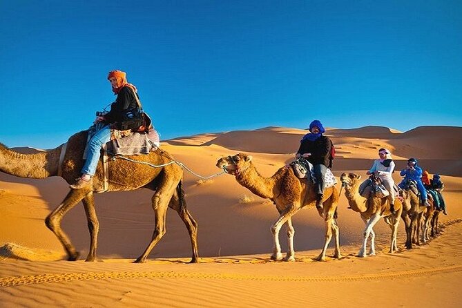 Private Evening Desert Safari with BBQ Dinner Dubai - BBQ dinner with Arabic and international choices