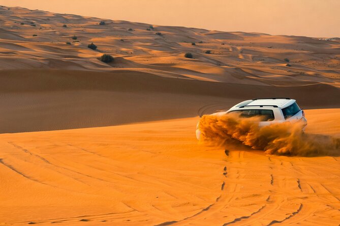 Private Evening Desert Safari with BBQ Dinner & Sand Boarding - Your Dubai pickup sets the tone