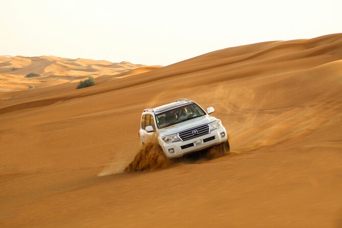 Private Evening Desert Safari with BBQ Dinner & Sand Boarding - Timing, comfort, and practical planning