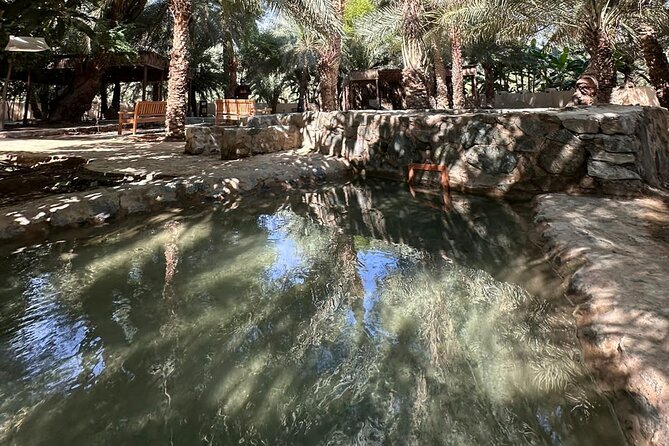 Private Full Day Hatta Visit Dam Heritage Village Lake - Swan Lake Bridge and a slower half hour