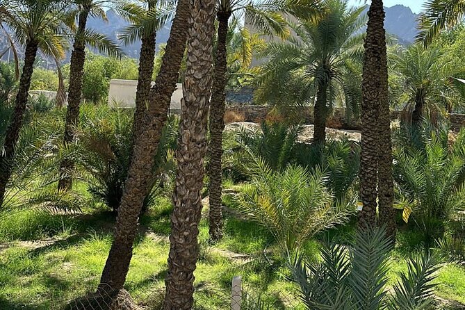 Private Full Day Hatta Visit Dam Heritage Village Lake - Wadi Hatta Park: add adventure for an extra charge