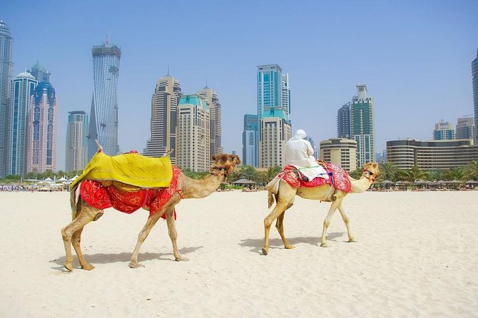 Private Half Day Modern Dubai City tour with Lunch - Palm Jumeirah and Atlantis photo stops
