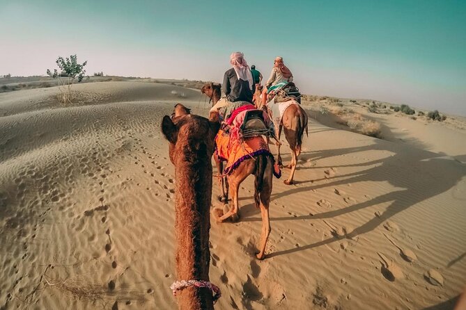Private Morning Desert Safari with Camel Ride & Sandboarding - Adding an ATV or dune buggy ride