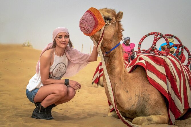 Private Premium Desert Safari 4x4 Vehicle with BBQ Dinner - DUBAI - Key points before you book