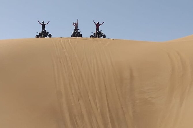 Private Quad Bike Tour through Deep Desert in Dubai - Steep dunes, camel farms, and the best parts of the route