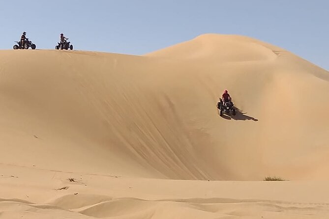 Private Quad Bike Tour through Deep Desert in Dubai - What the guide adds to the experience