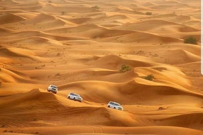 Private Red Dunes Desert Safari Dubai - The 30-Minute Dune-Bashing Ride