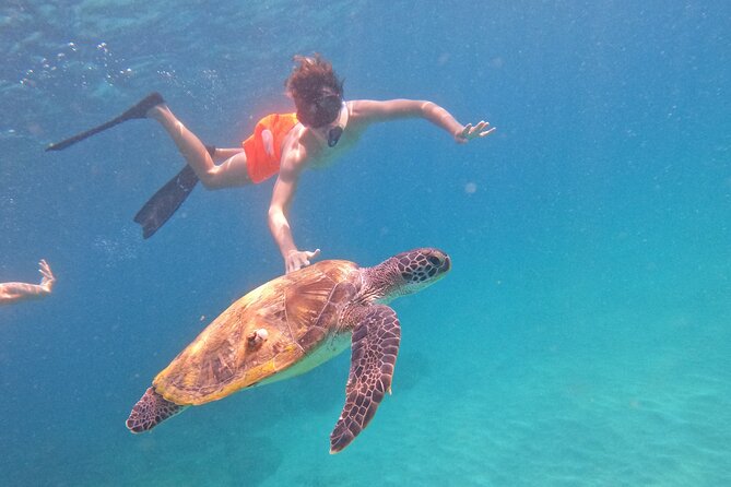 Private Snorkeling with turtles with BBQ food - Equipment that keeps the outing simple