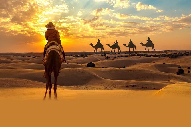 Private Tour at Desert Safari With Camel Ride & BBQ Dinner - Sand boarding, camel farms, and a short ride