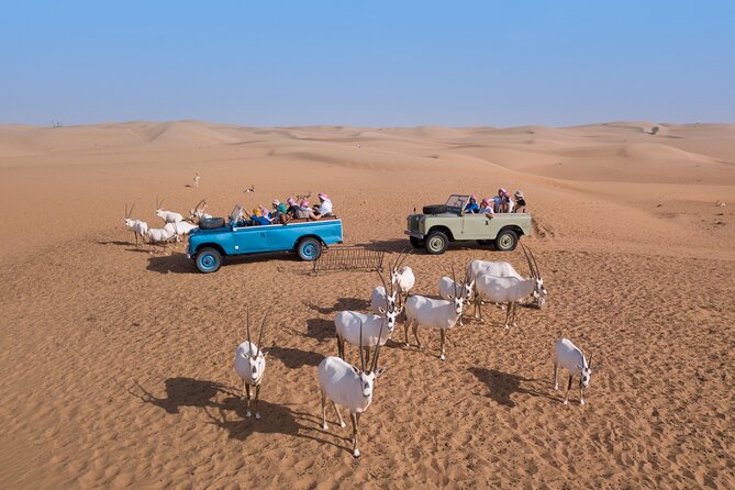 Private Vintage Land Rover Heritage Desert Safari- 4 Course Dinner & Activities - Falconry Against the Arabian Sunset