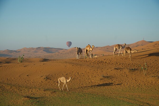 RAK Hot Air Balloon Flight - The 6:00 am pickup and desert transfer
