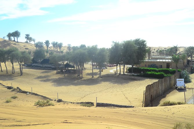 Ras Al Khaimah: Afternoon Desert Safari and BBQ Dinner - The camel farm stop needs confirmation