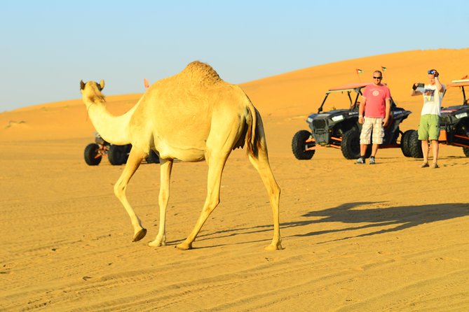 Ras Al Khaimah: Afternoon Desert Safari and BBQ Dinner - What the $65 price really buys you