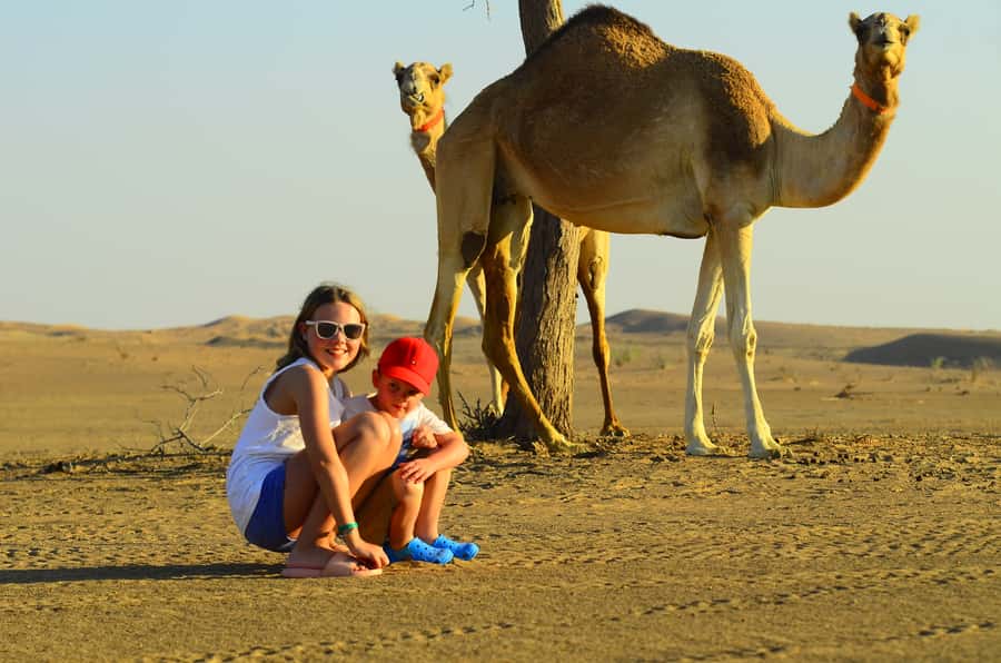 Ras Al Khaimah: Afternoon Desert Safari and BBQ Dinner - Who should book this Ras Al Khaimah safari?