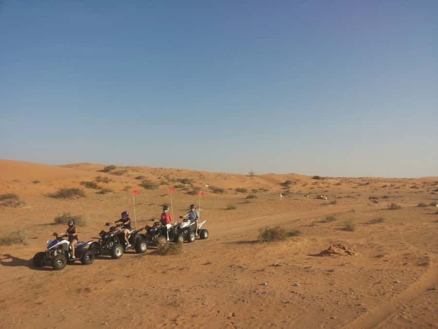 Ras Al Khaimah: Guided Quad Bike Tour - Dune bashing and the longer desert program