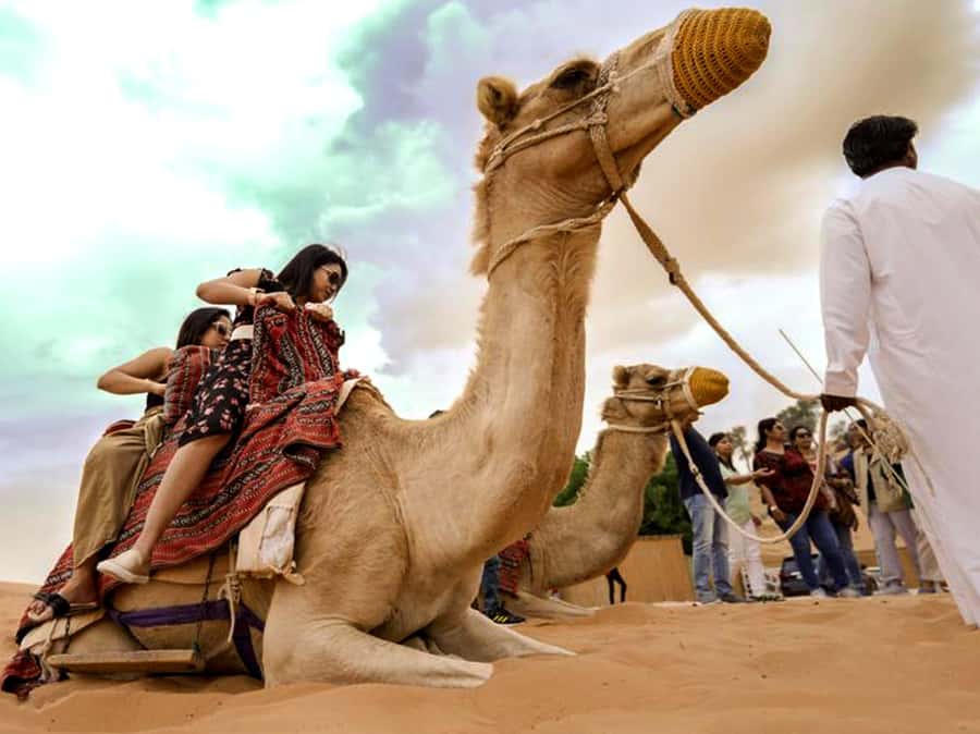 Ras Al Khaimah: Guided Quad Bike Tour - Group size, guide, and pace