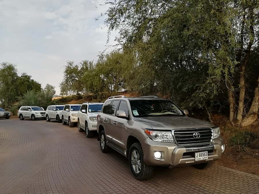 Ras Al Khaimah: Half-Day Desert Safari with Dinner - How Good Is The Value At $54?