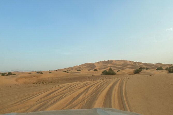 Red Dune 4x4 Desert Safari with Sand Boarding & Camel (4 hr) - Desert photographs and open views