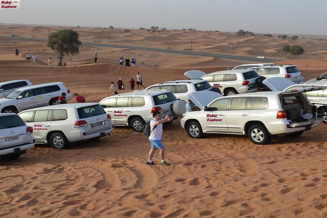 Red Dune evening Desert Safari With BBQ dinner and Camel ride - Live shows finish the evening