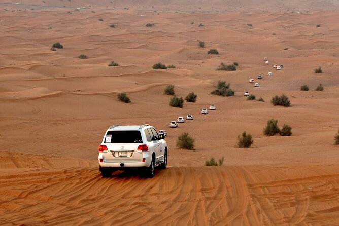 Red Dune Evening Desert Safari with Sandbashing and BBQ Dinner - Is $55 good value?