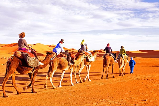 Red Dunes Desert Safari, Sand Board, Camel Ride with BBQ Dinner - The dune-bashing ride: thrilling but not gentle