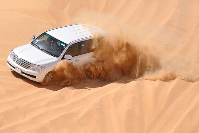 Red Dunes Desert Safari with 4x4 Pick up & Drop, Camel ride, BBQ and Live shows - Barbecue dinner with vegetarian choices