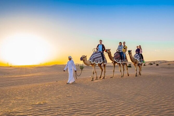 Red Dunes Desert Safari with 4x4 Pick up & Drop, Camel ride, BBQ and Live shows - What the high rating tells you, and what it does not