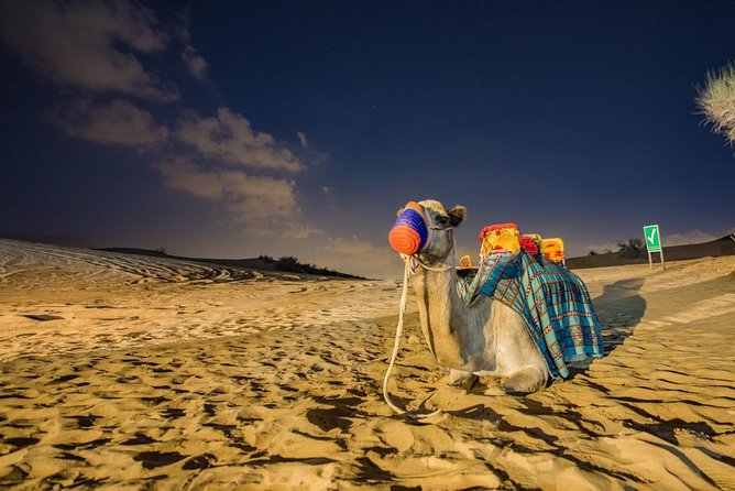Red Dunes Desert Safari with BBQ Dinner - Key points to know before booking