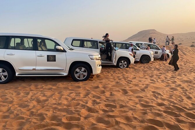 Red Dunes Lahbab Desert Safari With BBQ Dinner - What 30 Minutes of Dune Bashing Feels Like