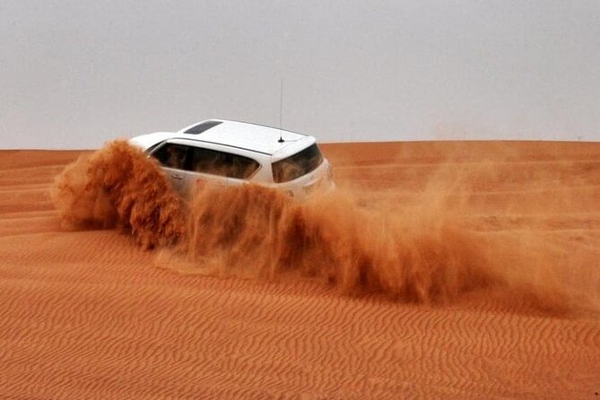 Red Dunes Lahbab Safari with BBQ Dinner and Quad Bike - Key points to know before booking