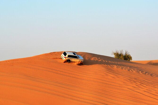Red Dunes Safari Dubai Tour with Camel Ride, BBQ and Live Shows - Shared Land Cruiser Pickup From Dubai