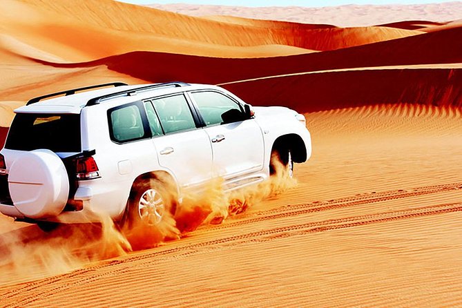 Red Dunes Safari with BBQ dinner, Falcon and Camel Ride - From Dubai hotels to the red dunes