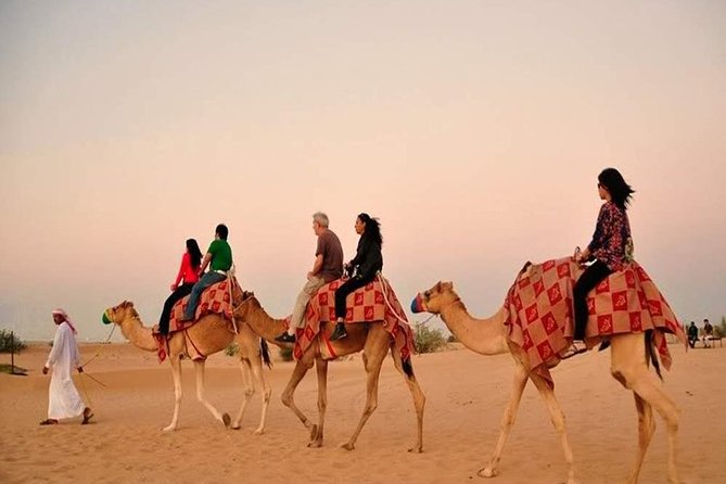 Red Dunes Safari with BBQ dinner, Falcon and Camel Ride - Sandboarding on the soft slopes