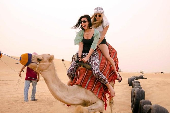 Red Dunes Safari with BBQ dinner, Falcon and Camel Ride - Falcon photos and a traditional welcome