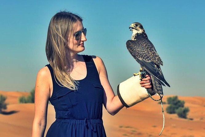 Red Dunes Safari with BBQ dinner, Falcon and Camel Ride - BBQ buffet dinner and campsite seating