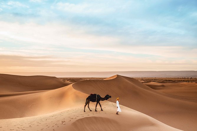 Royal Private Desert Safari - Exclusive SUV - Entering the Bedouin-style camp